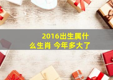 2016出生属什么生肖 今年多大了